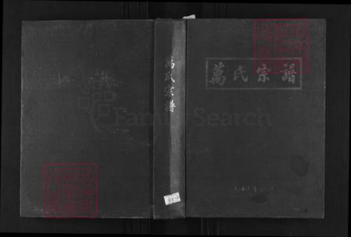 湖北省武汉市新洲区万氏族谱-万氏宗谱.pdf电子版插图