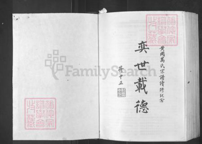 湖北省武汉市新洲区万氏族谱-万氏宗谱.pdf电子版插图1