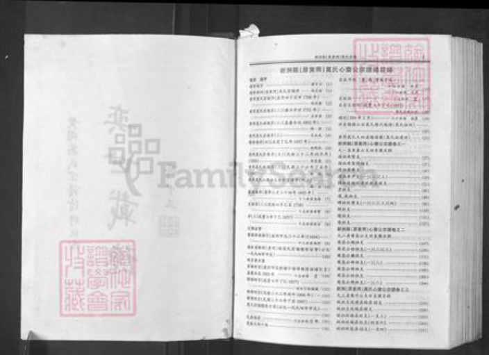 湖北省武汉市新洲区万氏族谱-万氏宗谱.pdf电子版插图2