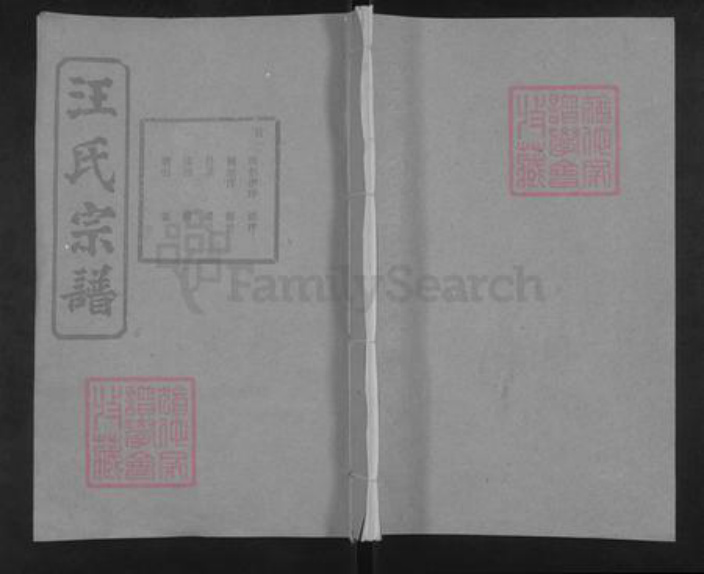湖北省黄冈市汪氏佑启堂族谱-汪氏宗谱.pdf电子版插图