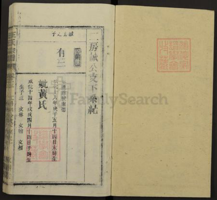 安徽省安庆市桐城市汪氏敦睦堂族谱-皖桐汪氏宗谱.pdf电子版插图1