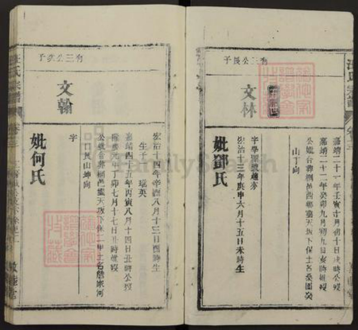 安徽省安庆市桐城市汪氏敦睦堂族谱-皖桐汪氏宗谱.pdf电子版插图2