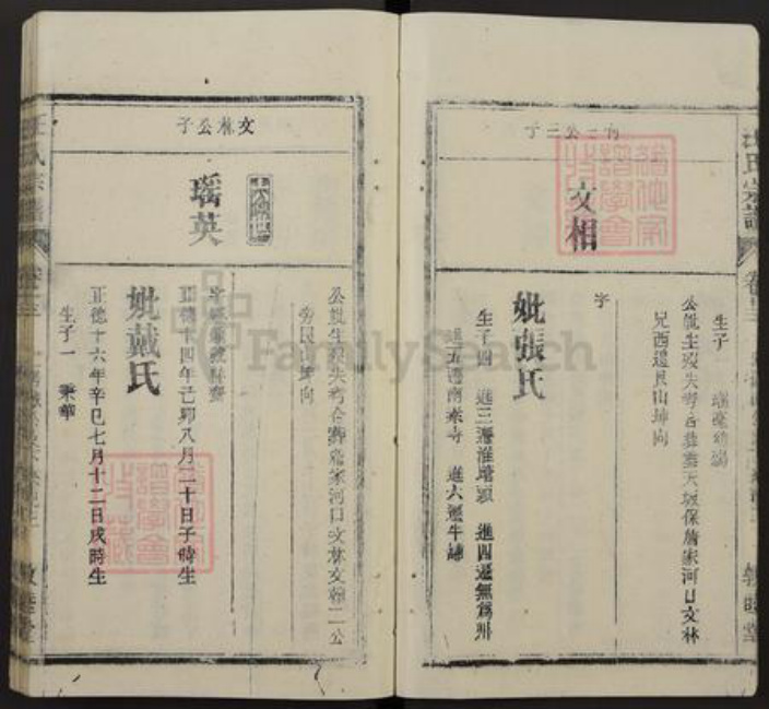 安徽省安庆市桐城市汪氏敦睦堂族谱-皖桐汪氏宗谱.pdf电子版插图3