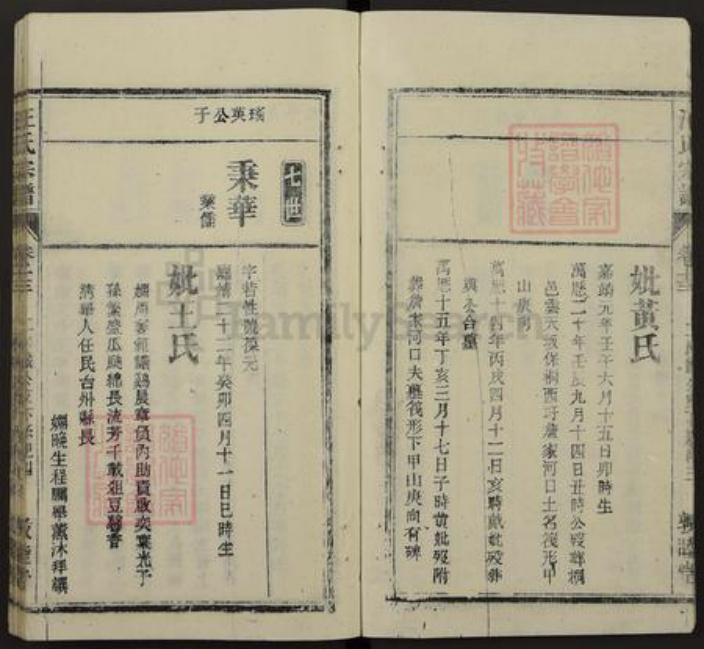 安徽省安庆市桐城市汪氏敦睦堂族谱-皖桐汪氏宗谱.pdf电子版插图4