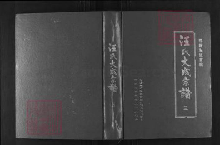 湖北省咸宁市崇阳县港口乡汪氏越国堂族谱-汪氏大成宗谱.鄂赣湘边首届.pdf电子版插图