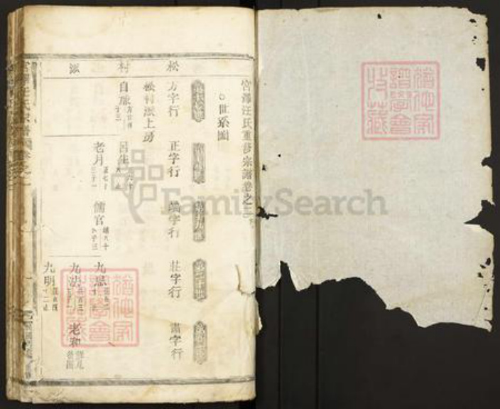 浙江省丽水市缙云县壶镇镇汪氏族谱-宫泽汪氏宗谱.pdf电子版插图1