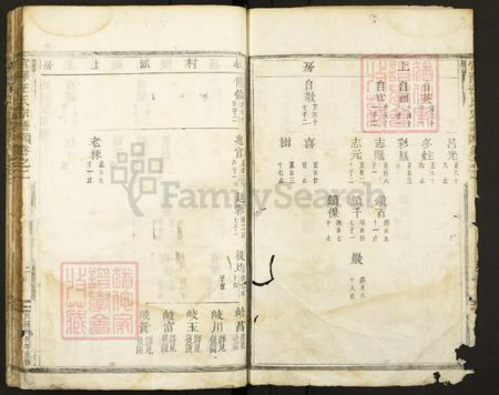 浙江省丽水市缙云县壶镇镇汪氏族谱-宫泽汪氏宗谱.pdf电子版插图2