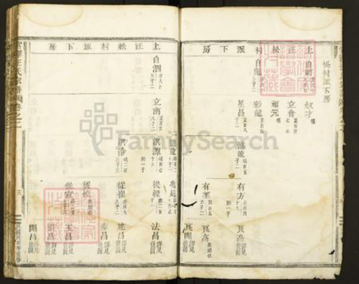 浙江省丽水市缙云县壶镇镇汪氏族谱-宫泽汪氏宗谱.pdf电子版插图3