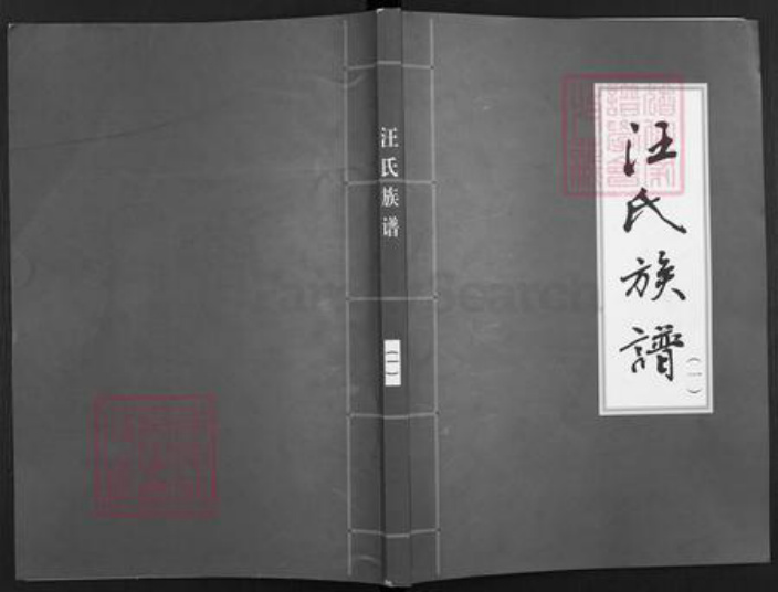 安徽省宿州市砀山县汪氏挨纹堂族谱-汪氏族谱.pdf电子版插图