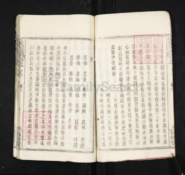 湖北省黄冈市黄州区堵城镇汪氏敦睦堂族谱-汪氏宗谱.pdf电子版插图5