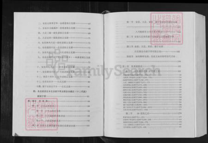 四川省汪氏越国堂族谱-汪氏族谱.pdf电子版插图3 四川省汪氏越国堂族谱-汪氏族谱.pdf电子版插图3