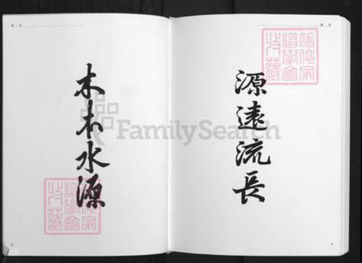 安徽省铜陵市枞阳县横端口镇汪氏世茂堂族谱-石马岭汪氏宗谱.pdf电子版插图4 安徽省铜陵市枞阳县横端口镇汪氏世茂堂族谱-石马岭汪氏宗谱.pdf电子版插图4