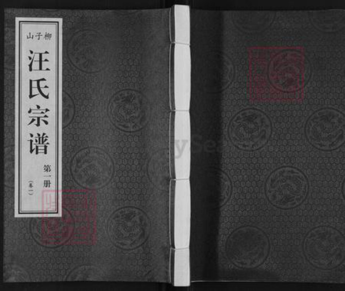 安徽省铜陵市枞阳县汪氏敬墓堂族谱-柳子山汪氏宗谱.pdf电子版插图 安徽省铜陵市枞阳县汪氏敬墓堂族谱-柳子山汪氏宗谱.pdf电子版插图