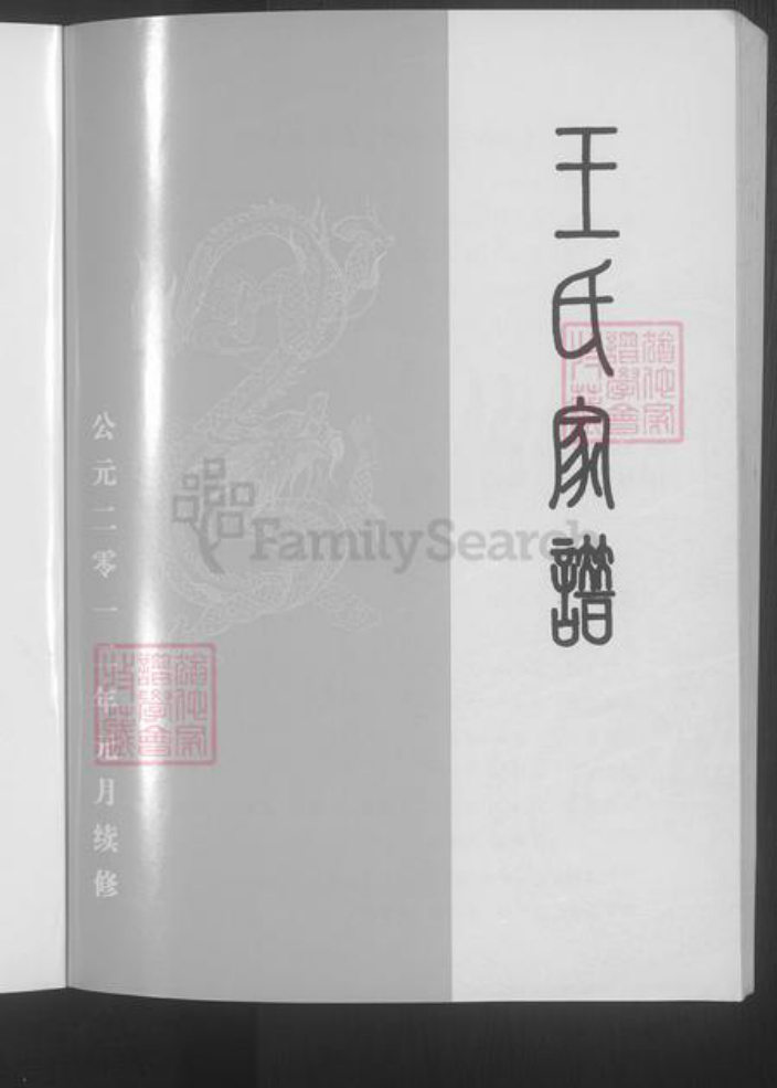 山西省运城市临猗县王氏族谱-大阎王氏家谱 [不分卷].pdf电子版插图3