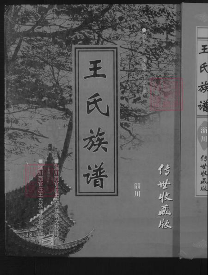 山东省淄博市淄川区王氏族谱-王氏族谱 [不分卷].pdf电子版