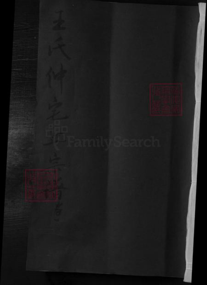 江西省九江市湖口县王氏族谱-王氏仲宅上宗谱.pdf电子版