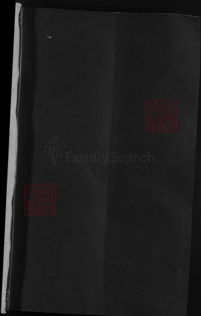 江西省九江市湖口县王氏族谱-王氏仲宅上宗谱.pdf电子版插图1