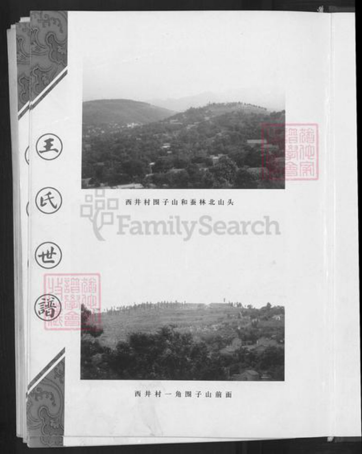 山东省淄博市淄川区王氏族谱-王氏世谱.pdf电子版插图5