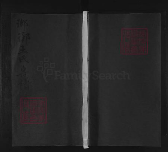 江西省九江市都昌县王氏族谱-琅琊王氏宗谱.pdf电子版插图