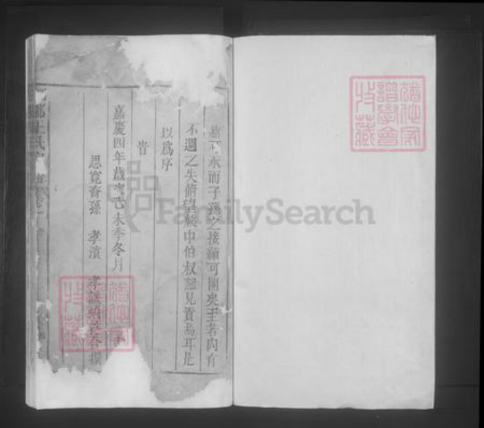 江西省九江市都昌县王氏族谱-琅琊王氏宗谱.pdf电子版插图1