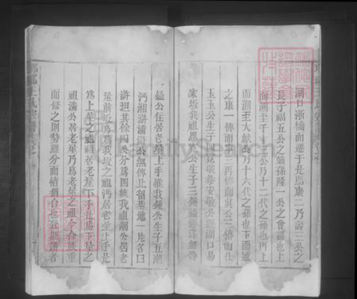 江西省九江市都昌县王氏族谱-琅琊王氏宗谱.pdf电子版插图5