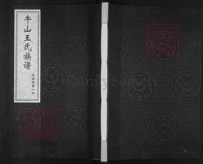 山东省青岛市即墨区王氏族谱-午山王氏族谱.pdf电子版插图