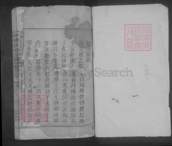江西省九江市湖口县王氏族谱-琅琊王氏宗谱 [2卷,首1卷].pdf电子版插图1