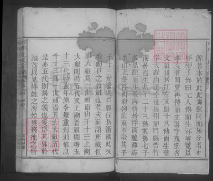 江西省九江市湖口县王氏族谱-琅琊王氏宗谱 [2卷,首1卷].pdf电子版插图2