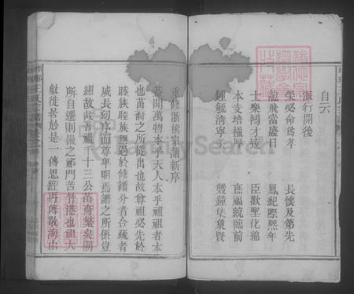 江西省九江市湖口县王氏族谱-琅琊王氏宗谱 [2卷,首1卷].pdf电子版插图3