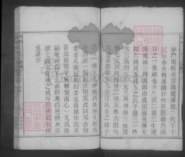 江西省九江市湖口县王氏族谱-琅琊王氏宗谱 [2卷,首1卷].pdf电子版插图4
