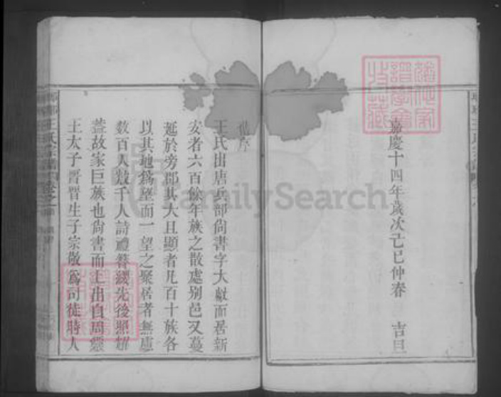 江西省九江市湖口县王氏族谱-琅琊王氏宗谱 [2卷,首1卷].pdf电子版插图5