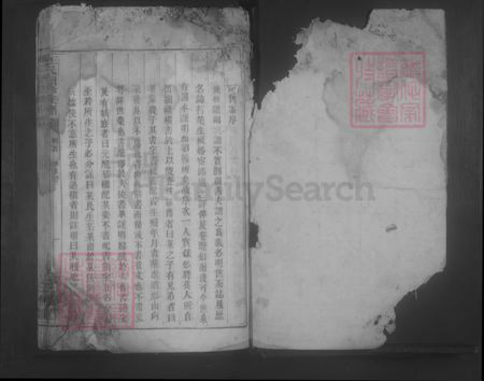 湖南省郴州市永兴县王氏族谱-王氏续修族谱 [7卷,首1卷].pdf电子版插图1
