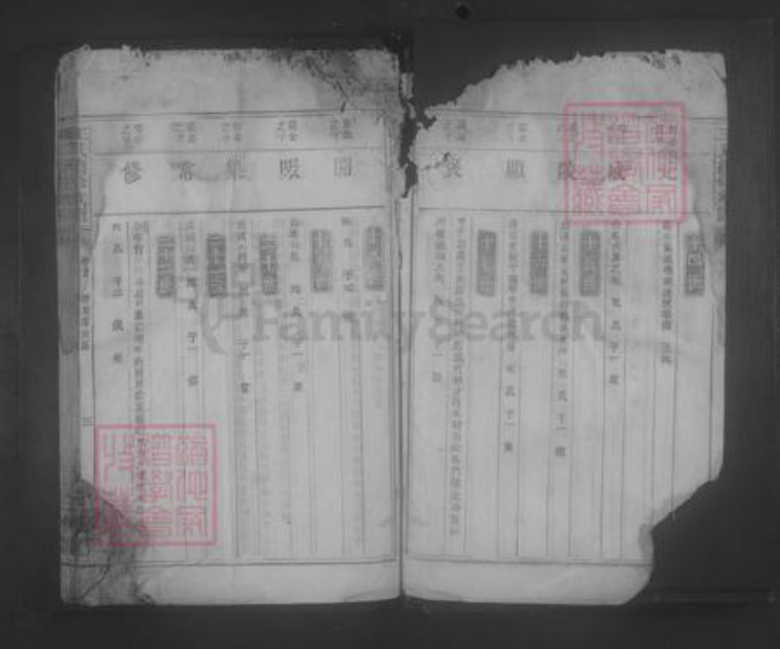 湖南省郴州市永兴县王氏族谱-王氏续修族谱 [7卷,首1卷].pdf电子版插图5