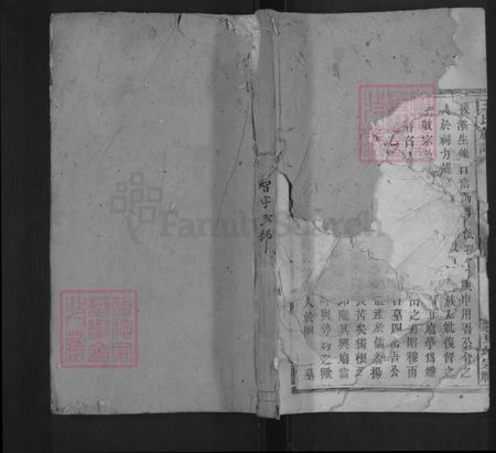 江西省吉安市安福县王氏宝善堂族谱-王氏族谱.pdf电子版插图