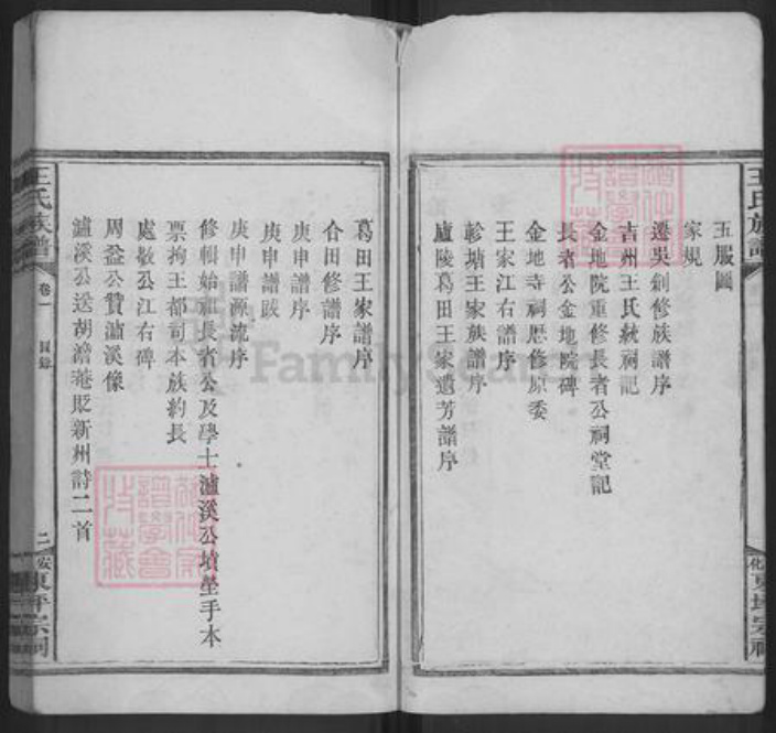 江西省吉安市安福县王氏宝善堂族谱-王氏族谱.pdf电子版插图5