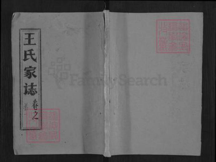 湖北省黄冈市黄梅县大河镇王氏槐荫堂族谱-王氏宗谱.pdf电子版插图
