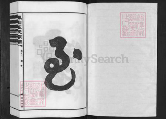 浙江省金华市婺城区王氏族谱-金华凤山王氏宗谱.pdf电子版插图1