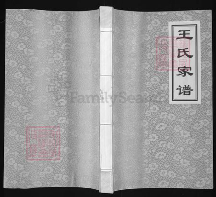 河南省郑州市中原区王氏三槐堂族谱-王氏家谱.pdf电子版插图