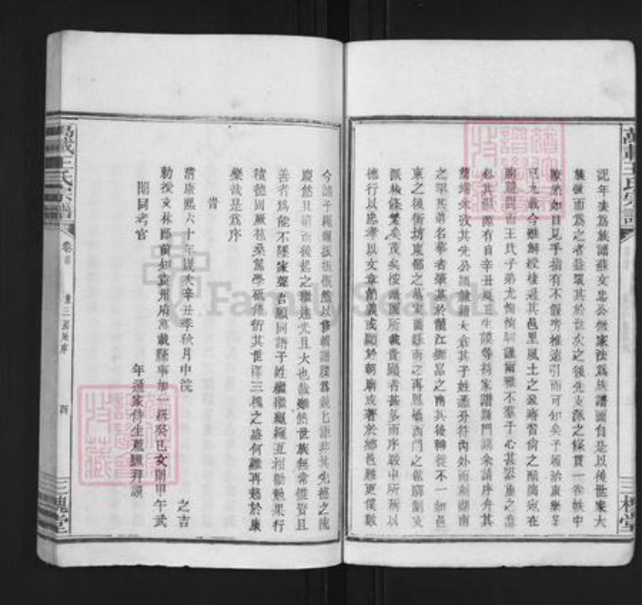 江西省吉安市万安县宝山乡王氏三槐堂族谱-万载王氏宗谱.pdf电子版插图4