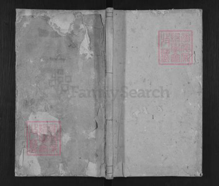 安徽省安庆市潜山市王氏族谱-王氏族谱.pdf电子版