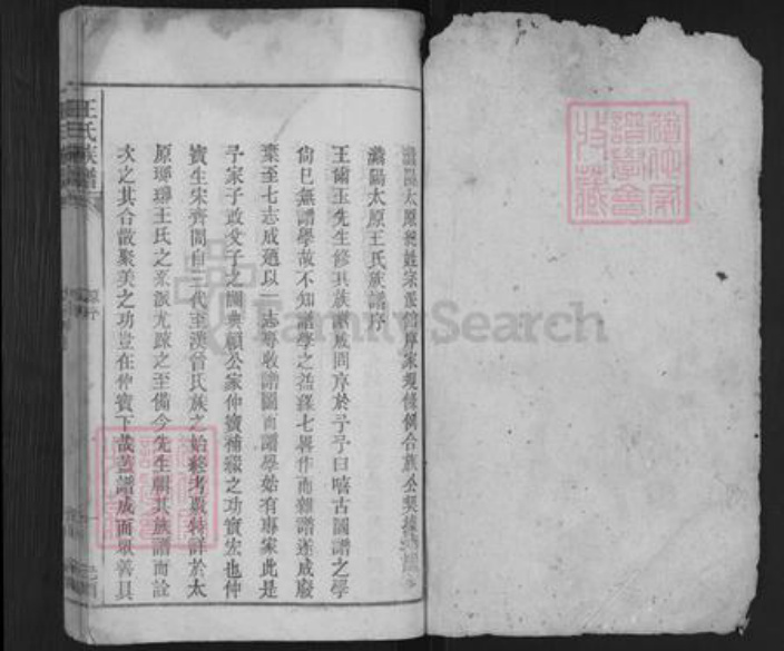 安徽省安庆市潜山市王氏族谱-王氏族谱.pdf电子版插图1