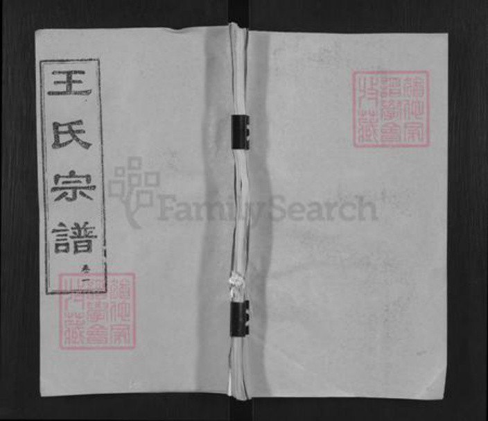 湖北省黄冈市麻城市王氏三槐堂族谱-王氏宗谱.pdf电子版插图 湖北省黄冈市麻城市王氏三槐堂族谱-王氏宗谱.pdf电子版插图