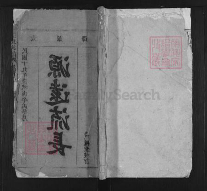 安徽省安庆市潜山市梅城镇王氏三槐堂族谱-王氏族谱.pdf电子版插图