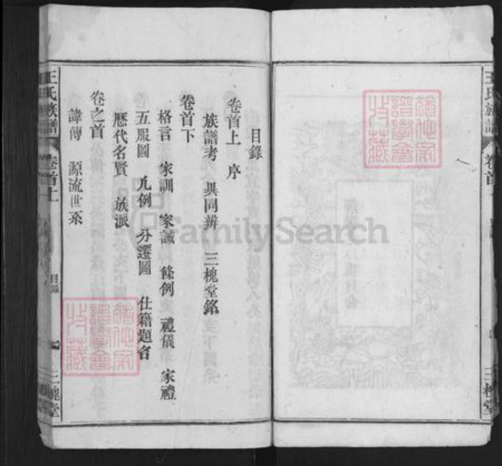 安徽省安庆市潜山市梅城镇王氏三槐堂族谱-王氏族谱.pdf电子版插图5