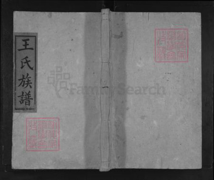 湖南省怀化市溆浦县龙潭镇王氏三槐堂族谱-王氏族谱.pdf电子版插图