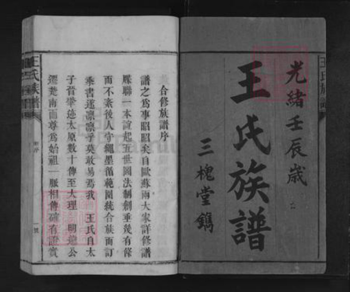 湖南省怀化市溆浦县龙潭镇王氏三槐堂族谱-王氏族谱.pdf电子版插图1