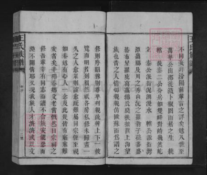 湖南省怀化市溆浦县龙潭镇王氏三槐堂族谱-王氏族谱.pdf电子版插图2