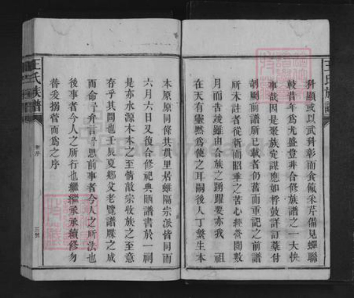 湖南省怀化市溆浦县龙潭镇王氏三槐堂族谱-王氏族谱.pdf电子版插图3
