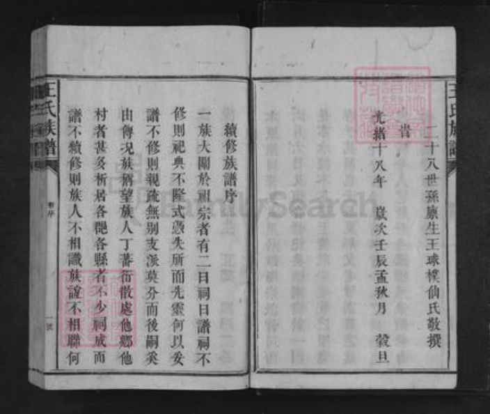 湖南省怀化市溆浦县龙潭镇王氏三槐堂族谱-王氏族谱.pdf电子版插图4