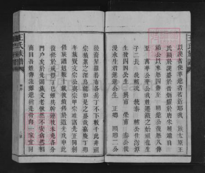 湖南省怀化市溆浦县龙潭镇王氏三槐堂族谱-王氏族谱.pdf电子版插图5
